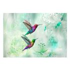 Fotótapéta - Színes kolibrik (zöld)