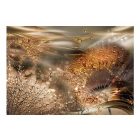 Fotótapéta - Arany pitypangok