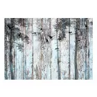 Fotótapéta - Közel a természethez