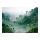 Fotótapéta - Reggeli köd