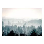 Fotótapéta - Téli erdő