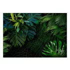 Fotótapéta - Sötét dzsungel