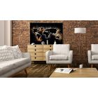 Kép - Tüzes kontinens térkép