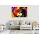 Kép - Színes orangután (széles 1 darabban)