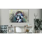 Kép - Zenehallgató majom