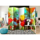 Paraván - Tavaszi tulipánok II