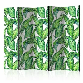 Paraván - Hosszú levelek II