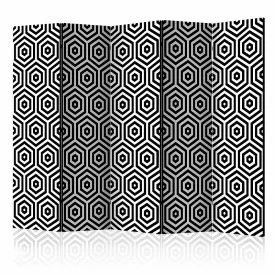 Paraván - Fekete-fehér hipnózis II