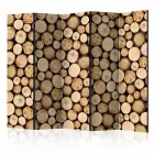 Paraván - Farönkök egymáson II