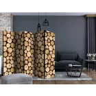 Paraván - Farönkök egymáson II