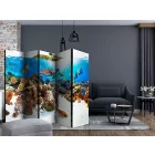 Paraván - Korallzátony II