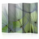 Paraván - Pitypangok II