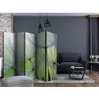 Paraván - Pitypangok II