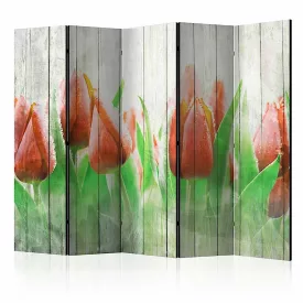 Paraván - Piros tulipánok fa háttéren II