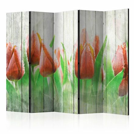 Paraván - Piros tulipánok fa háttéren II