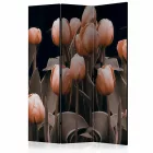 Paraván - Tulipánok fekete háttéren
