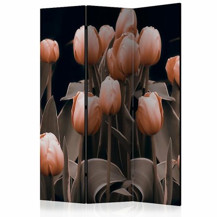 Paraván - Tulipánok fekete háttéren