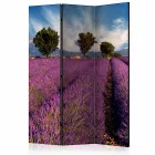 Paraván - Levendula mező Provence-ban