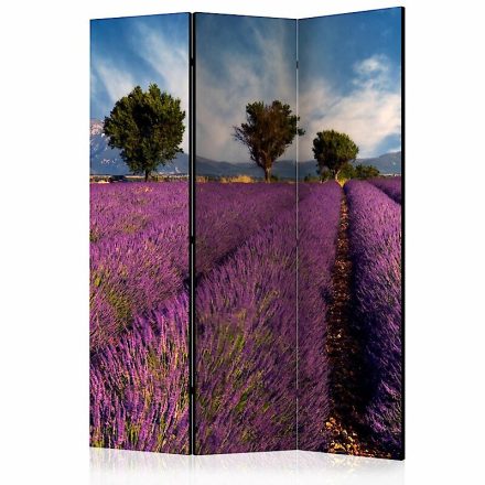 Paraván - Levendula mező Provence-ban
