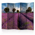Paraván - Levendula mező Provence-ban II