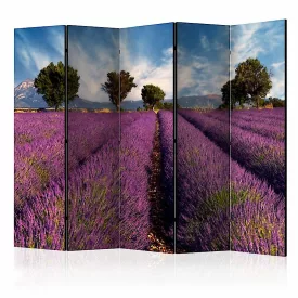 Paraván - Levendula mező Provence-ban II