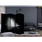 Paraván - Toll fekete háttéren 4