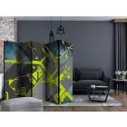 Paraván - Útvonalak II