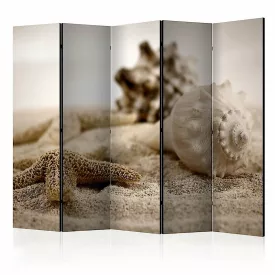 Paraván - Tengerpart és kagyló II