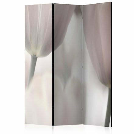 Paraván - Fekete-fehér tulipánok