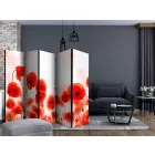 Paraván - Pipacsok fehér háttéren II