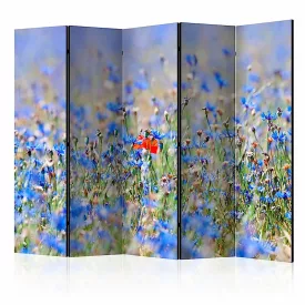 Paraván - Kék színű búzavirág rét II