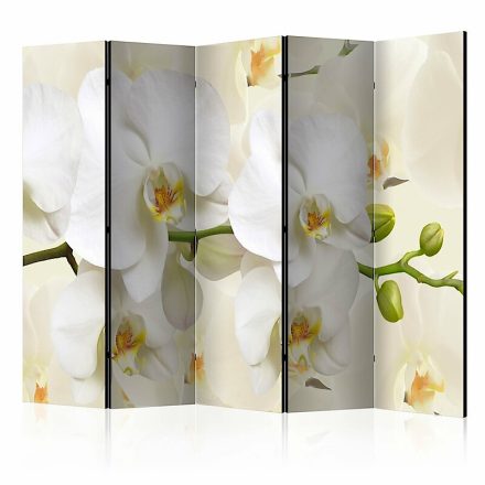 Paraván - Orchidea ág II
