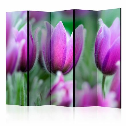 Paraván - Lila tavaszi tulipánok II