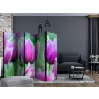 Paraván - Lila tavaszi tulipánok II