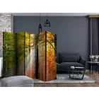 Paraván - Erdei színek II