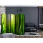 Paraván - Nap és a bambusz II