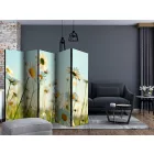 Paraván - Százszorszépek a tavaszi réten II