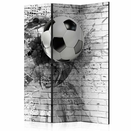Paraván - Dinamikus futball