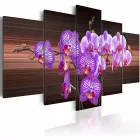 Kép - Orchidea érintés