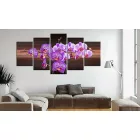 Kép - Orchidea érintés