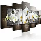 Kép - Ártatlan elegancia