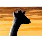 Kép - Afrikai naplemente zsiráfokkal 3