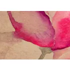 Kép - Ártatlan tekintet 3