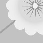 Fotótapéta -  Szürke virágos minta