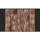 Fotótapéta - Fa minta