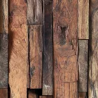 Fotótapéta - Fa minta