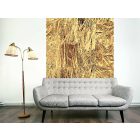 Fotótapéta - Arany felhők