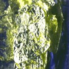 Fotótapéta - Tintás inspiráció