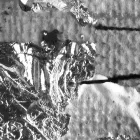 Fotótapéta - Múzeumi mű