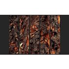 Fotótapéta - A fába faragott idő